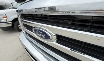 2024 BT Cruiser 5245B full