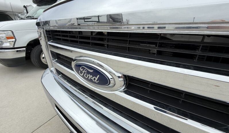 2024 BT Cruiser 5245B full