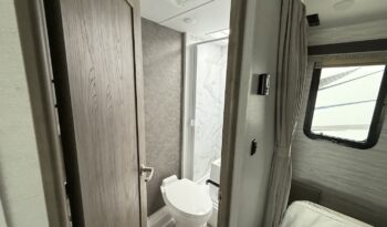 2024 BT Cruiser 5245B full