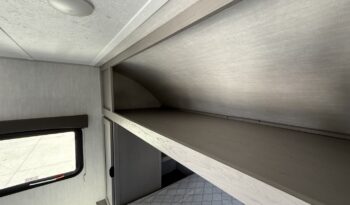 2025 Viking 262DBS full