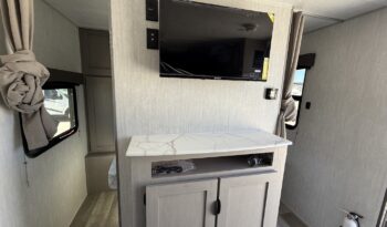 2025 Viking 262DBS full