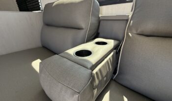 2025 Viking 262DBS full