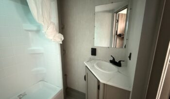 2025 Viking 262DBS full