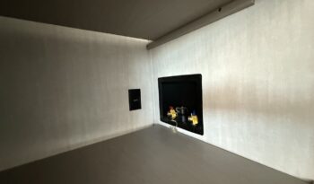 2025 Viking 262DBS full