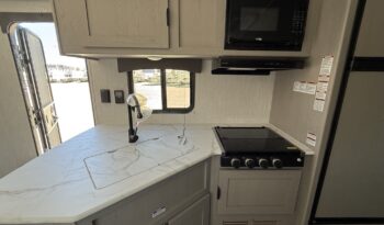 2025 Viking 262DBS full