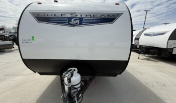 2025 Ameri-Lite 199DD full