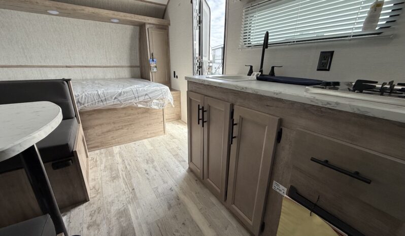 2025 Ameri-Lite 199DD full