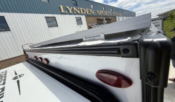 2025 Viking ROK 8000 full