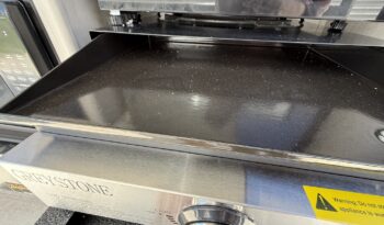 2025 Viking ROK 12000 full