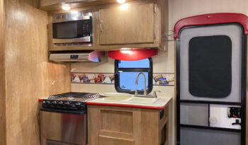 2017 Vintage Cruiser 23RSS full