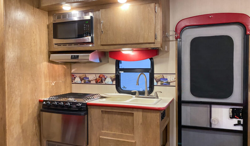 2017 Vintage Cruiser 23RSS full