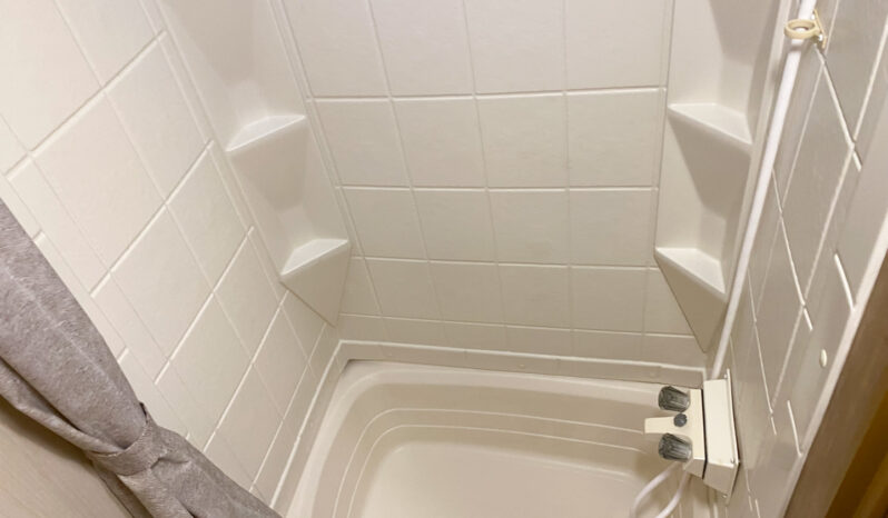 2017 Vintage Cruiser 23RSS full