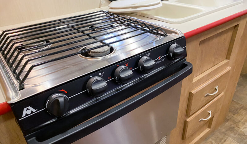 2017 Vintage Cruiser 23RSS full