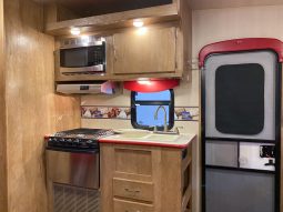 2017 Vintage Cruiser 23RSS full